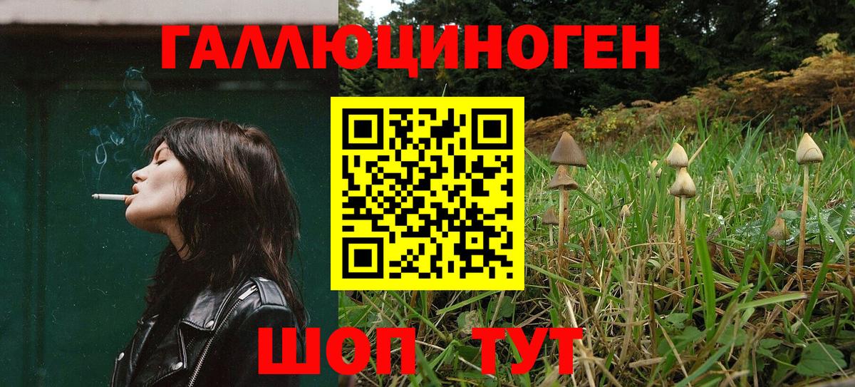 где купить наркоту  Вход с VPN  Набережные Челны  Галлюциногенные грибы Psilocybine cubensis 