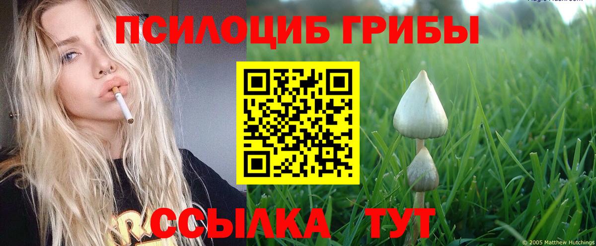 Псилоцибиновые грибы GOLDEN TEACHER Набережные Челны